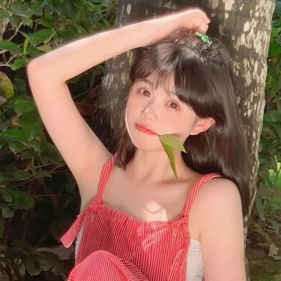大战国樱花与刀破解版下载